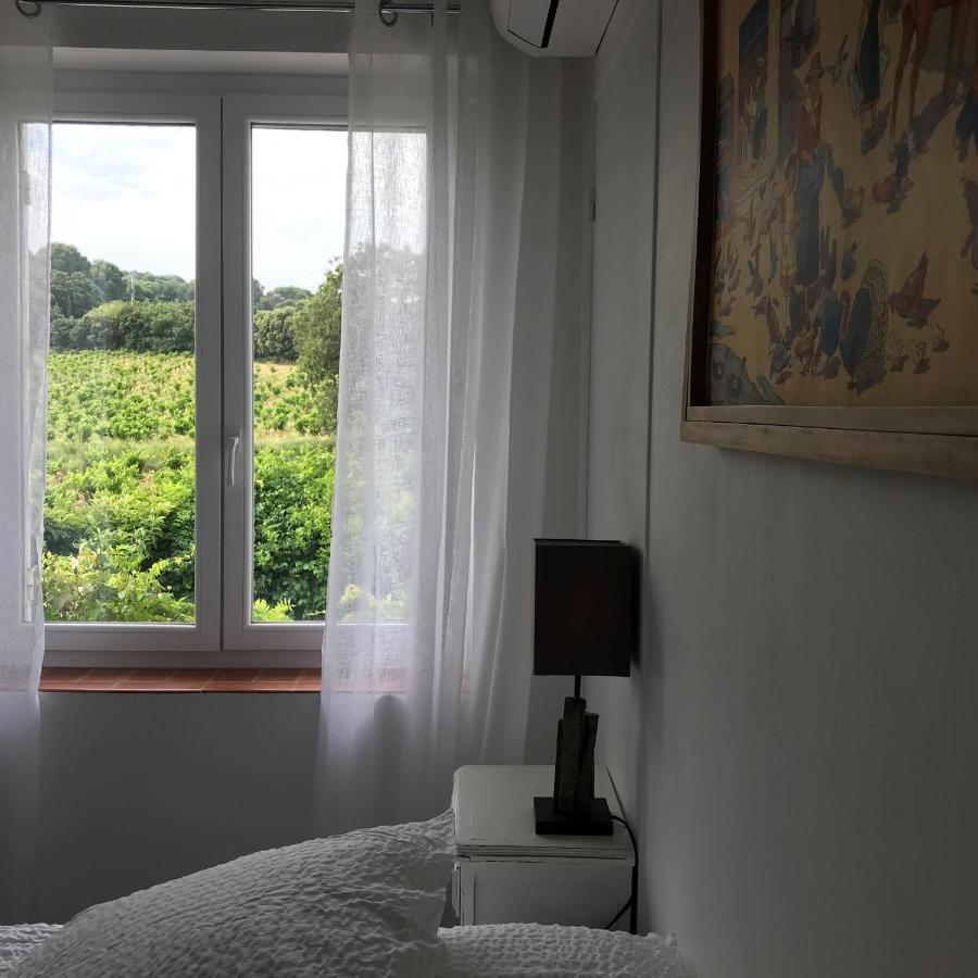 Chambres D'Hotes Et Gites Le Mas Mellou Оранж Экстерьер фото